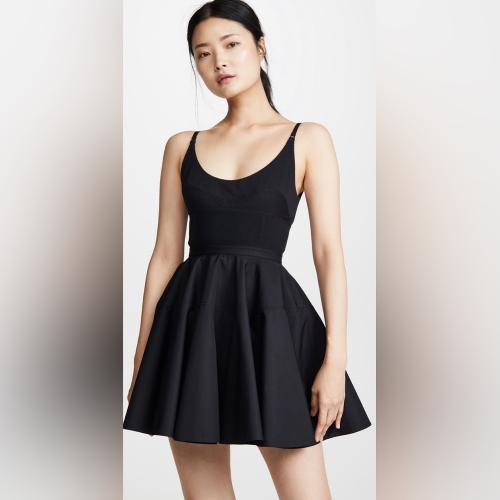 EUC ALEXANDER WANG Fit And Flare Mini 0 size Black